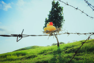 Bird on branch against sky