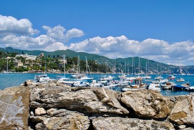 Boats moored at harbor against sky