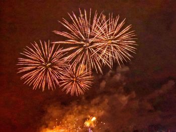 Low angle view of fireworks in sky at night