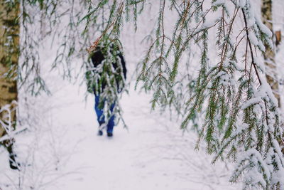 Close-up of tree trunk during winter