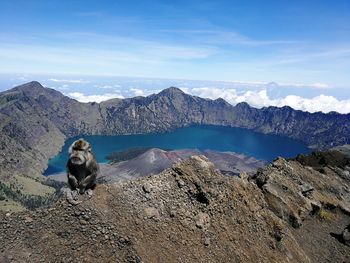 View of monkey on mountain against sky