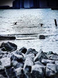 Surface level of rocks