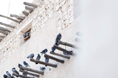 High angle view of staircase by building during winter