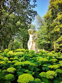 Low angle view of statue against trees in garden