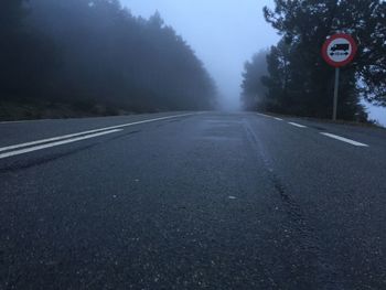 Road passing through trees