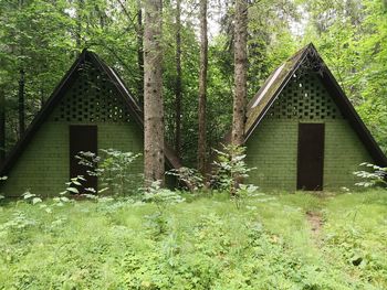 Wooden house amidst trees and plants growing in field