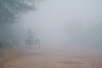 Rear view of person riding horse during winter