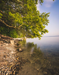 Scenic view of river against sky