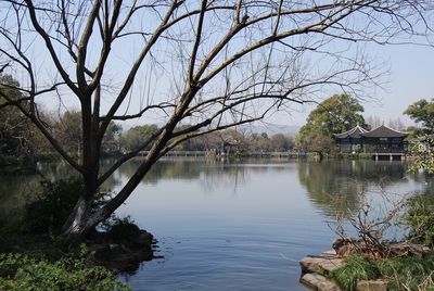 Bare trees by lake against sky