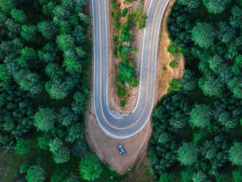 High angle view of road amidst trees in forest