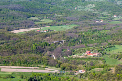 High angle view of trees and plants on field