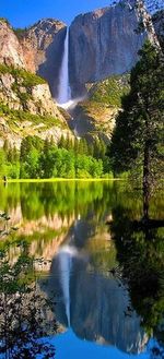 Reflection of trees in lake