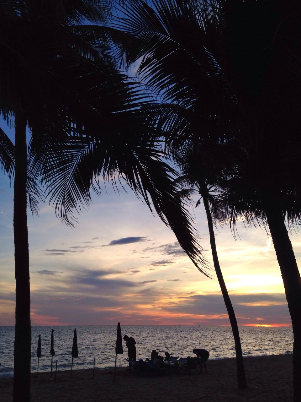 sea, sunset, horizon over water, beach, water, silhouette, palm tree, scenics, tranquility, sky, tranquil scene, beauty in nature, tree, shore, nature, idyllic, orange color, incidental people, tree trunk, vacations