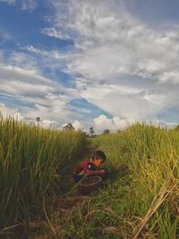 Scenic view of agricultural field against sky