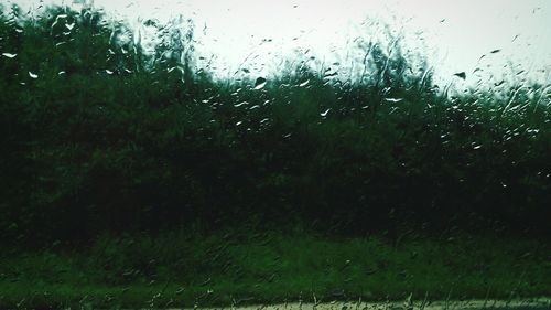 Full frame shot of wet glass window