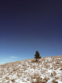 Snow covered field against clear blue sky