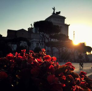 View of built structure at sunset