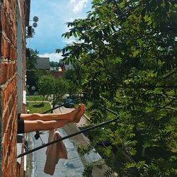 Woman by plants against trees