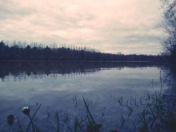 Reflection of trees in lake against cloudy sky