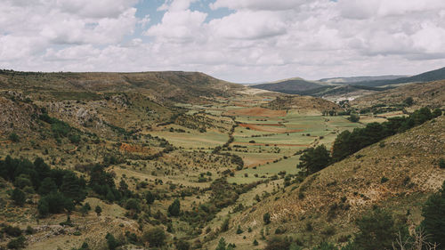 Scenic view of agricultural field against sky