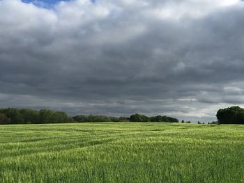 Scenic view of field against cloudy sky