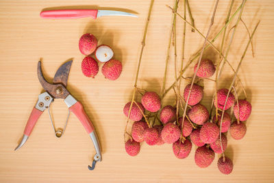 High angle view of fruits hanging on table