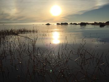 Scenic view of sunset over sea