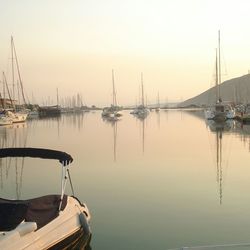 Boats moored at harbor