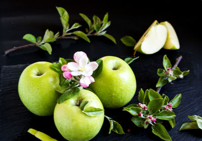Close-up of apples on plant against black background