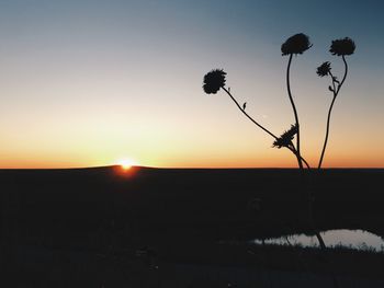 Silhouette plants on field against clear sky at sunset