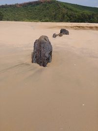 Horse on sand against sky