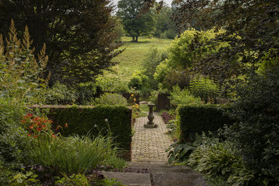 Footpath in garden