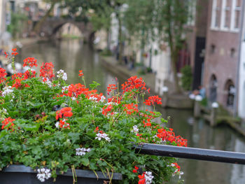 Utrecht in the netherlands