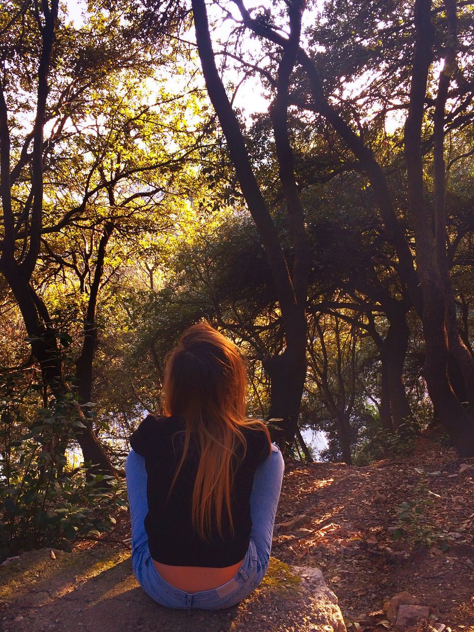 sitting, tree, one person, sunset, one woman only, women, only women, people, rear view, adult, adults only, outdoors, nature, young adult, one young woman only, young women, sky, day