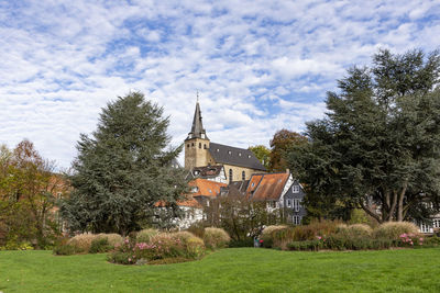 Trees and houses against sky