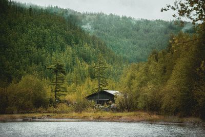 Scenic view of lake amidst trees in forest