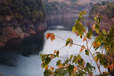 Scenic view of river amidst trees during autumn