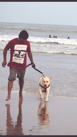 Rear view of man holding dog at beach