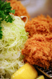 Close-up of meal served in plate