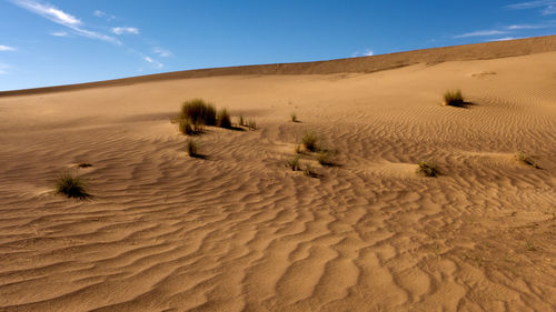 Sand dune in desert against sky