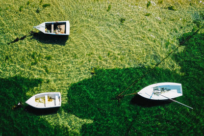 High angle view of car on grass