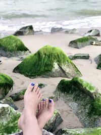 Low section of person on beach