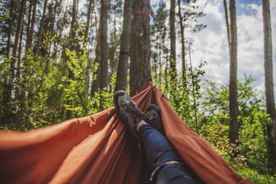 Low section of person relaxing on hammock in forest