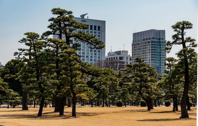 Trees and buildings in city against clear sky