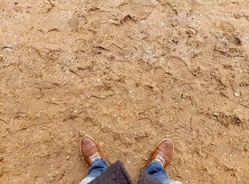 Low section of man standing on ground