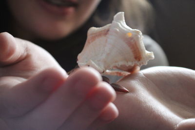 Close-up of hand holding hermit crab