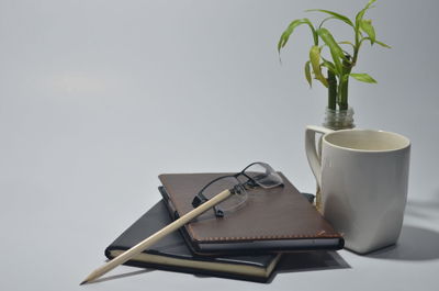 Close-up of potted plant on table