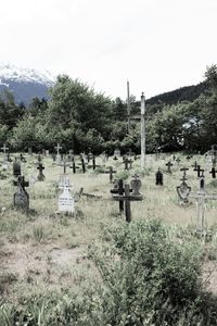 View of cemetery on field against sky