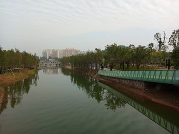 Reflection of trees in city against sky