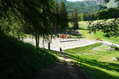High angle view of road amidst trees on field